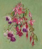 Floating Fuchsias