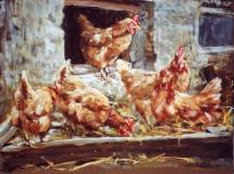 Hen Party