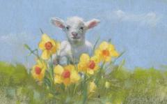 Lamb. 72