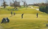 The Putt