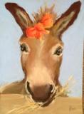 Strictly Donkey!