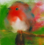 Robin