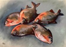 Piranha