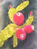 Cactus-Flower-scaled