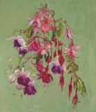 Floating-Fuchsias