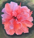 Peony