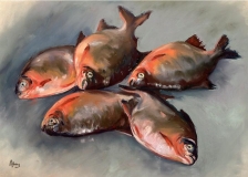 Piranha