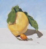The Bread Lemon. Amalfi